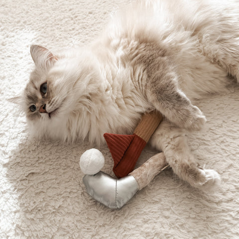 KITTY GOLFER 2