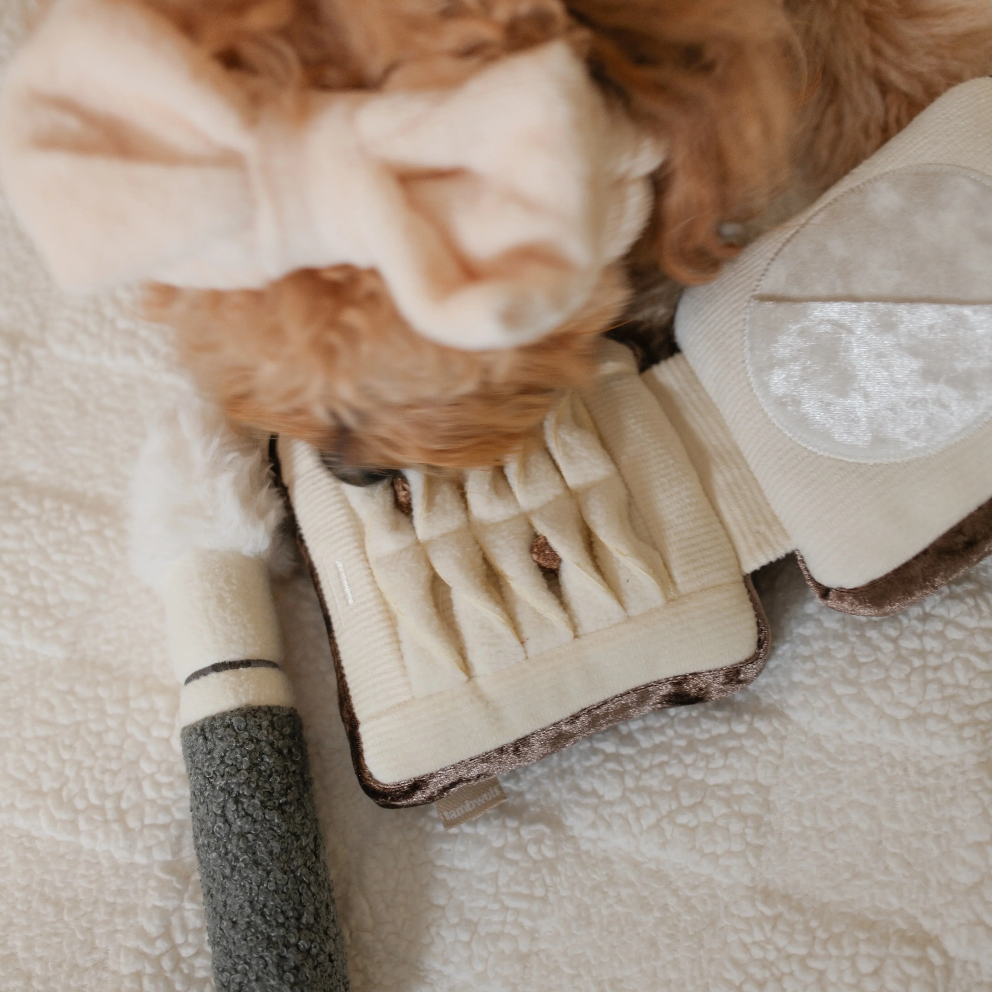 SETTING POWDER & BRUSH 2